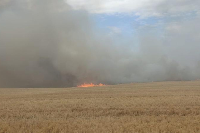 Una vista de l'incendi agrícola a Arbeca.