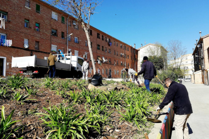 Nova edició de Jardins Socials per regenerar espais de la Mariola amb veïns del barri