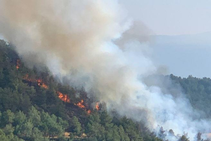 Un incendi forestal al Solsonès.
