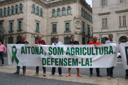 Entre los manifestantes había alcaldes y concejales de Alcarràs, Alpicat, Aitona, Torrefarrera o Torres de Segre.