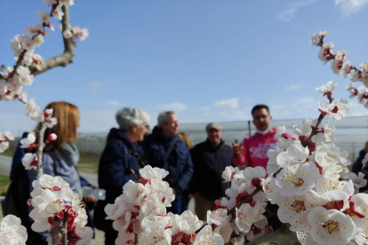 Alguns dels turistes que van recórrer ahir els camps florits d’Aitona.