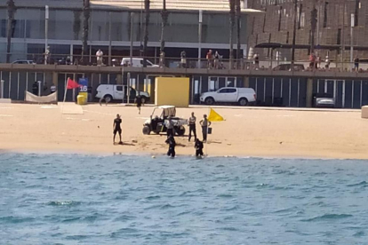 Bussos de la Guàrdia Civil a la platja de Somorrostro fent preparatius per detonar una canonada soterrada

Data de publicació: dijous 21 de juliol del 2022, 19:23

Localització: Barcelona

Autor: Guàrdia Civil