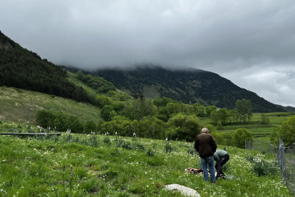 El paratge de Santa Margalida a Bagergue, on s'ha trobat el cadàver d'una ovella morta suposadament per un os

Data de publicació: dijous 26 de maig del 2022, 13:20

Localització: Naut Aran