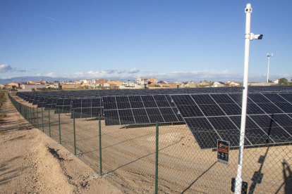 Part dels panells solars de la futura central solar cooperativa d’Anglesola.