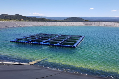 Plaques solars en una bassa del Segarra-Garrigues el 2018.