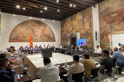 Momento de la reunión con la mesa de representación territorial.