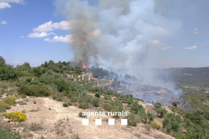 Els bombers treballen en un incendi forestal a la Serra de la Llena, entre les Garrigues i el Priorat