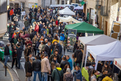 Las calles de Arbeca se llenaron de visitantes que compraban aceite de la temporada en la Fira de Santa Caterina. 