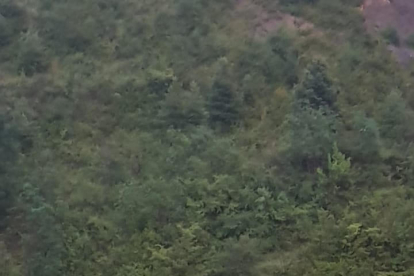 El Pont de Suert. Les intenses pluges de dijous van inundar un pàrquing i la zona del camp de futbol