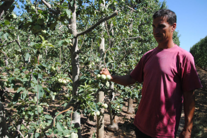 El Canal d'Urgell salva la fruta y los regantes piden evitar nuevos cierres 