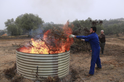 Un agricultor tirando restos de poda de una finca en un horno para hacer biocarbón.