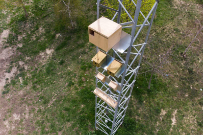 La torre está compuesta de un nido para cigüeñas y más de una docena de nidos de madera 