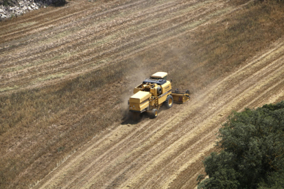 Una recol·lectora de cereal vista des de l'helicòpter dels Agents Rurals.
