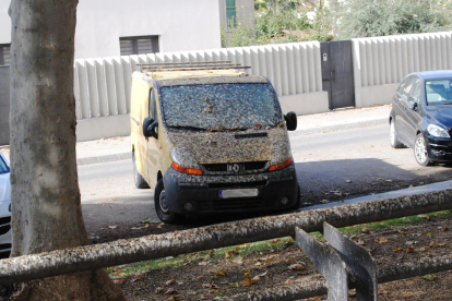 Un vehicle amfibi retirant a principis de juny algues del riu Segre que serveixen de refugi per a les larves de mosquits i la mosca negra.