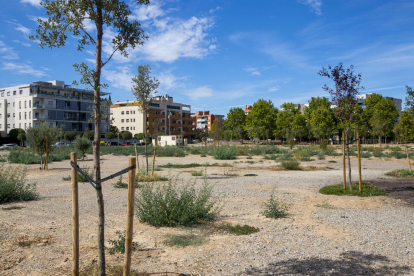 El estado actual del Parc de les Arts, en el solar junto a Alcalde Pujol.