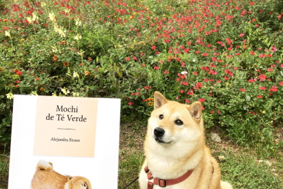 La perrita Mochi real y un ejemplar del libro ‘Mochi de Té Verde’.