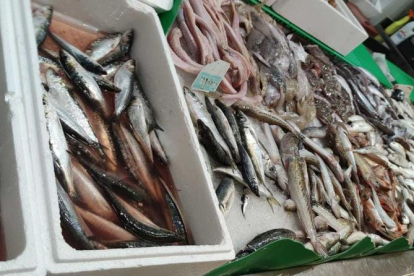 Localizados 72 kg de pescado en malas condiciones en una tienda de Lleida