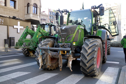 Més de 1.500 tractors col·lapsen el centre de Lleida i exigeixen mesures contra la paga de conills