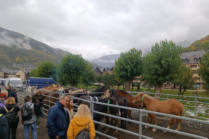 Alguns dels visitants que va rebre ahir Vielha durant la fira ramadera.