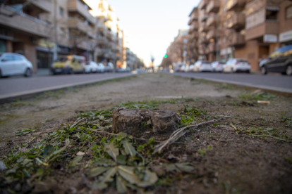 Mediana sin árboles en la calle Baró de Maials en Balàfia.