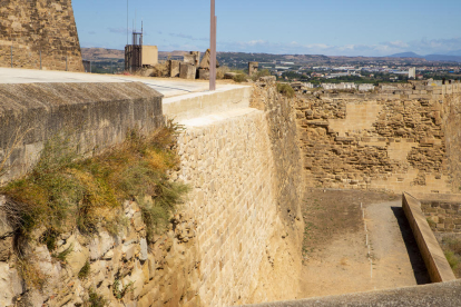 Larrosa, Baigol y Terés visitan ayer el Baluard del Rei, al lado del castillo de la Suda, en la Seu Vella. 