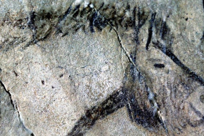 Dibuix d'un cavall en una cova de l'Edat del Gel.
