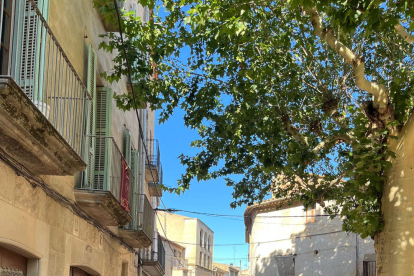 Golmés organizó una gincana en el marco de sus fiestas. 