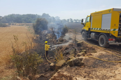 Trabajos de cosecha ayer en Sant Martí de la Morana, en el municipio de Torrefeta i Florejacs.