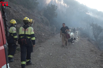 La bajada de la tramontana permite despegar a los hidroaviones en el incendio de Portbou, que ya ha quemado unas 500 hectáreas