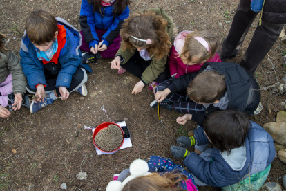 Alumnes de l’escola Alba pesant un eriçó per comprovar si guanya pes i, a la dreta, observant l’espai tancat en el qual viuen al pati del centre.