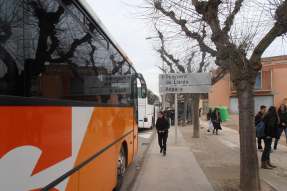 Imagen de archivo de archivo de un bus escolar del Segrià. 