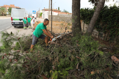 La brigada municipal de Alcarràs retirando ayer una rama que cayó a causa de la tormenta. 