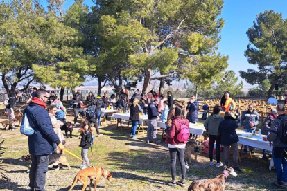 Los participantes pudieron hacer la ruta de Torres de Segre acompañados por sus mascotas.