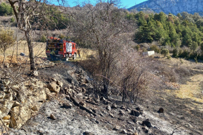 Bomberos tras controlar ayer al mediodía el incendio en la zona de L’Alzina d’Alinyà. 