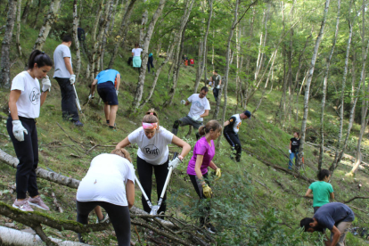 Voluntaris en un bosc del Sobirà.