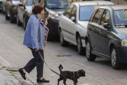 Proyecto de Ley de protección, derechos y bienestar de los animales