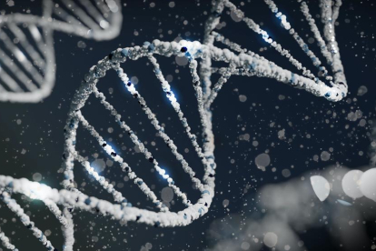 Investigadors generen la primera seqüència completa i sense buits d'un genoma humà