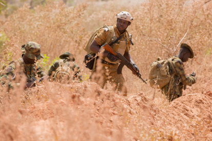 Soldats del Níger i altres nacions efectuen entrenaments militars mentre creix la inestabilitat.