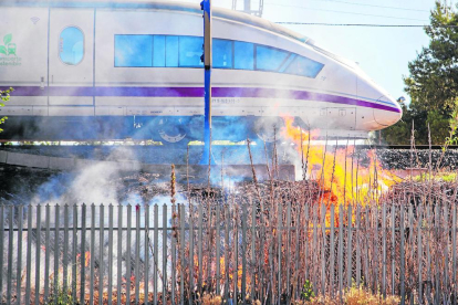 Un incendi a prop de les vies del tren, ahir al Camí de Granyena de Lleida.