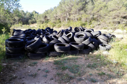 Decenas de neumáticos en una finca forestal de Vinaixa