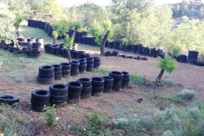 Los neumáticos denunciado por Ipcena en Vinaixa.