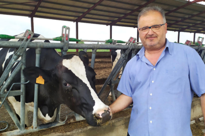 Josep Maria Campabadal, en su granja de Térmens, una de las que se ha sumado ahora al proyecto de Llet Nostra.