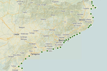 Més de la meitat de municipis costaners de Catalunya tindran platja per a gossos aquest estiu