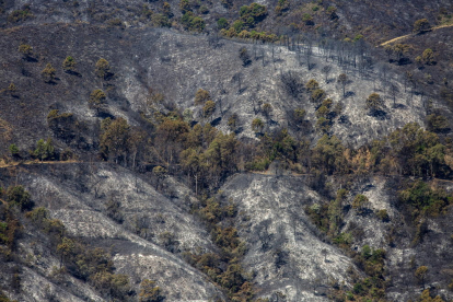 El incendio de Pujerra ha afectado a unas 3.500 hectáreas.