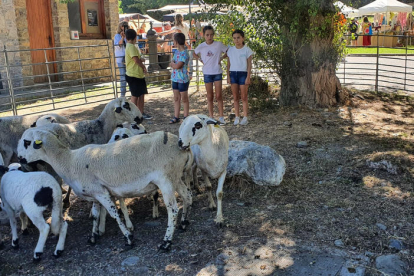 Un grup de nens mirant el bestiar exposat al recinte firal de Llavorsí.