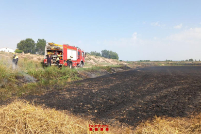 Incendi a Tornabous - Sis dotacions de Bombers van treballar ahir en l’extinció d’un incendi que va cremar dos hectàrees de camps d’ordi per collir a Tornabous.