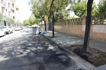 Restes dels contenidors cremats i arbres danyats ahir al carrer Hostal de la Bordeta.