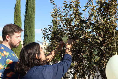 L’ofrena floral a l’Espai Empremtes, ahir a Lleida.