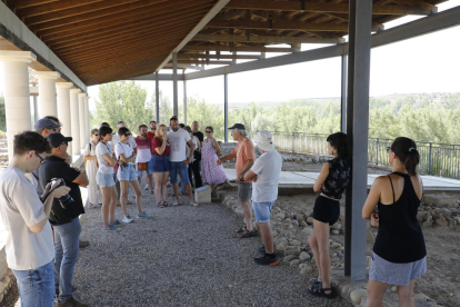 Unes 60 persones van assistir a les visites a la vil·la romana del Romeral de Albesa.