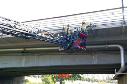 Revisión ayer de los Bomberos en el Pont Vell, en el margen izquierdo del río Segre en Lleida. 